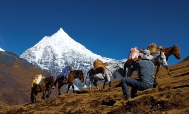 A hiker with pack horses traverses the rugged terrain against a backdrop of a snowy mountain peak in Bhutan.